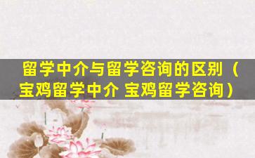 留学中介与留学咨询的区别（宝鸡留学中介 宝鸡留学咨询）